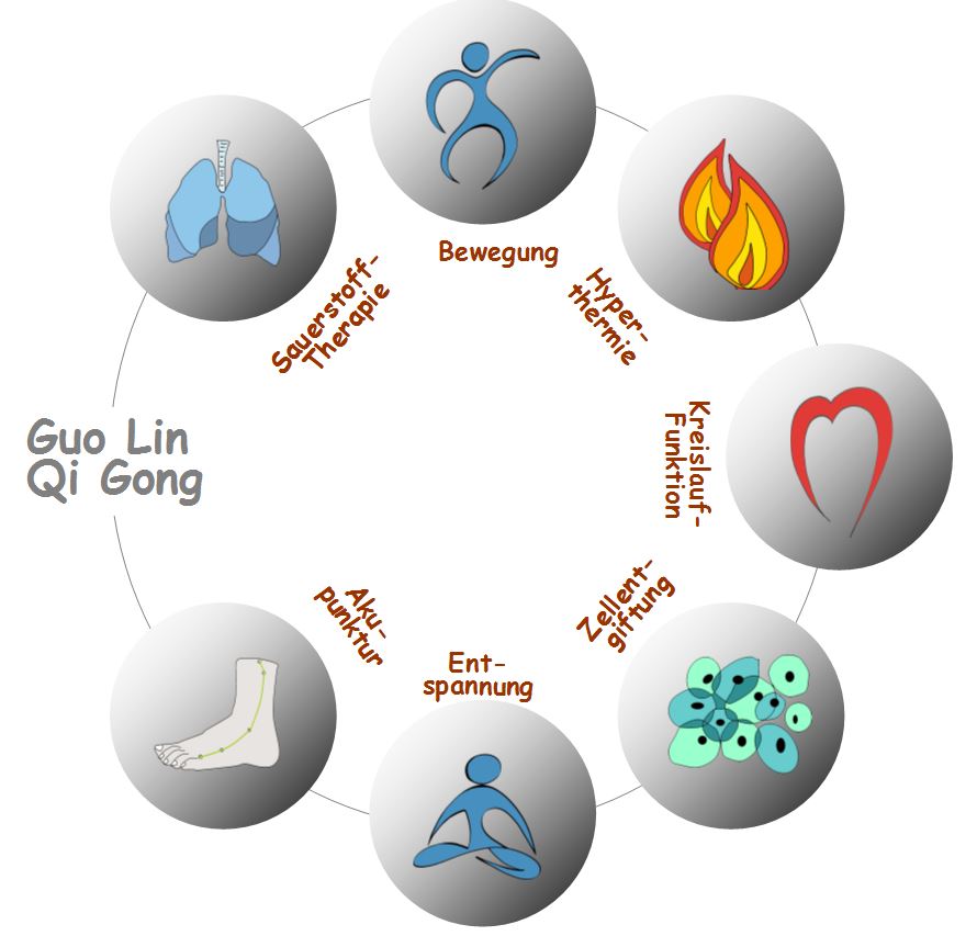 Die wesentlichen Wirkungselemente des Guo Lin Qi Gong